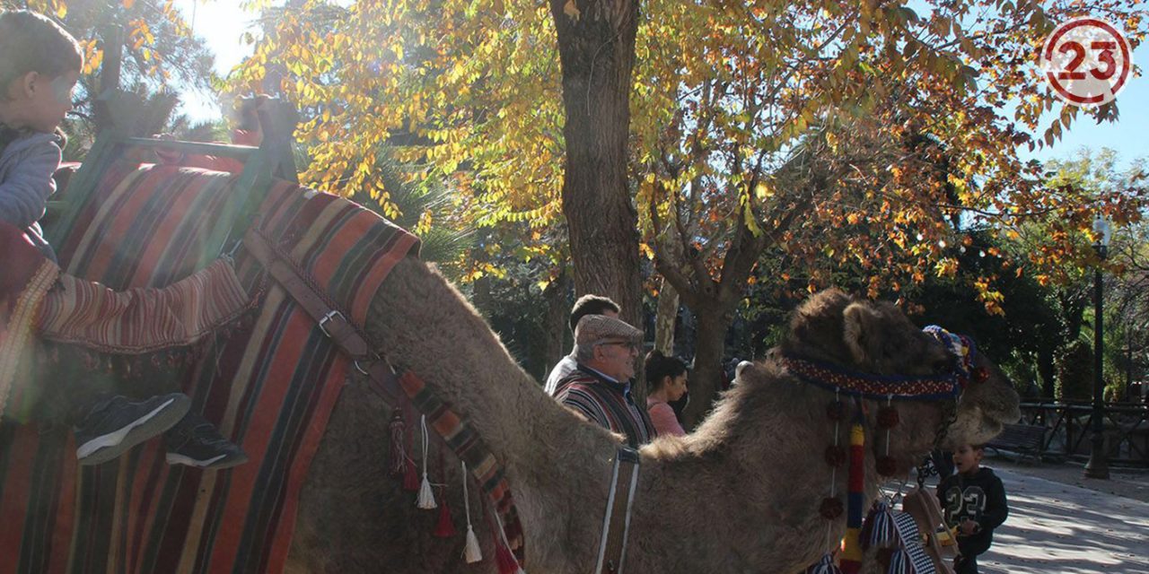 VÍDEO | El Mercat de Nadal torna a La Glorieta d’Alcoi amb activitats i diversió per a tots els públics