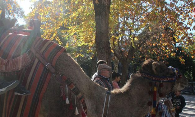 VÍDEO | El Mercat de Nadal torna a La Glorieta d’Alcoi amb activitats i diversió per a tots els públics